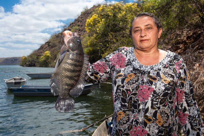 PAULO AFONSO: Unidade de beneficiamento de pescados vai contemplar piscicultores do município e região