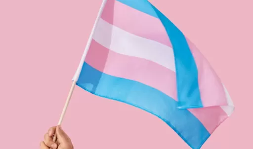 Após superarem preconceito, transexuais falam sobre o Dia da Visibilidade Trans: ‘Precisamos avançar mais’