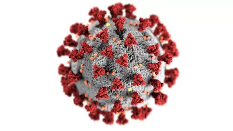 Por que a covid-19 pode se tornar endêmica no Brasil, como dengue e gripe