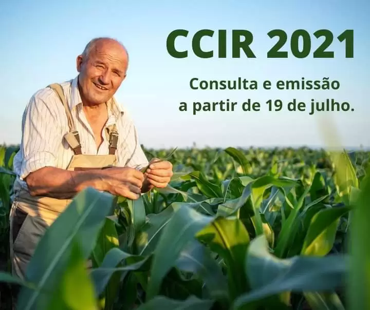 PETROLÂNDIA: Atenção! O CCIR 2021 já está disponível para consulta e emissão; VÍDEO