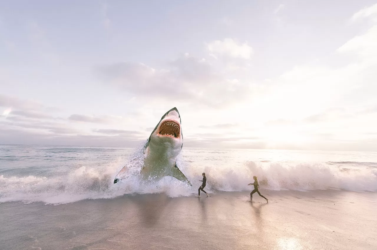 CENAS FORTES: Tubarão pula da água e morde perna de paraquedista; VÍDEO