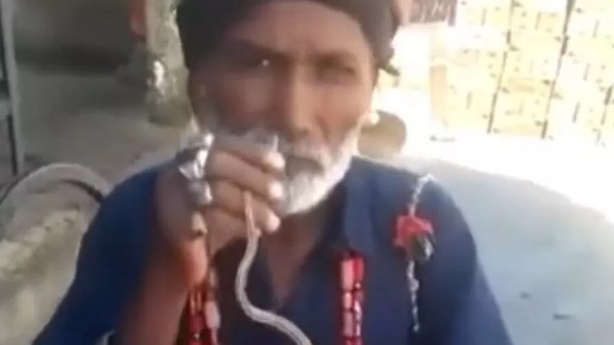 VÍDEO: Homem enfia serpente pelo nariz, tira pela boca e gera revolta