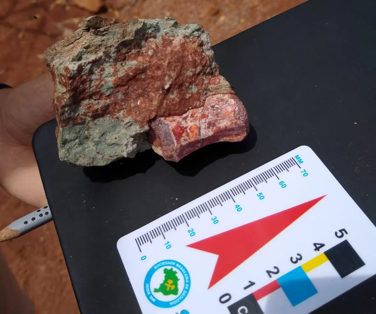 NORDESTE: Dinossauro encontrado em Ibimirim-PE supera em idade o descoberto em Petrolândia-PE